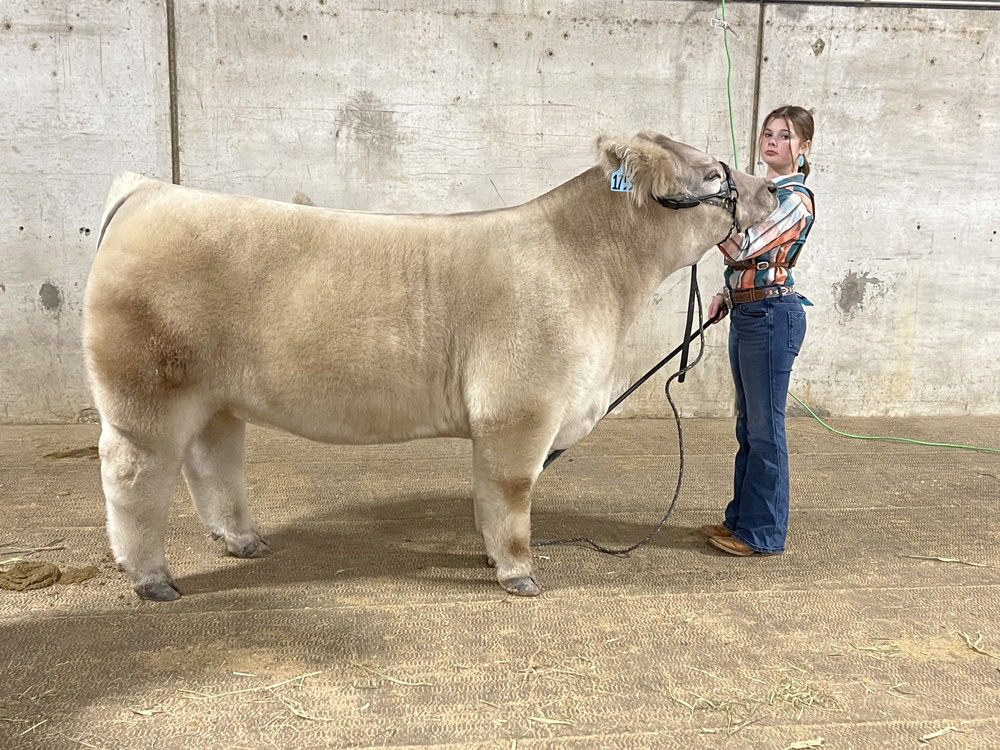 Student with steer
