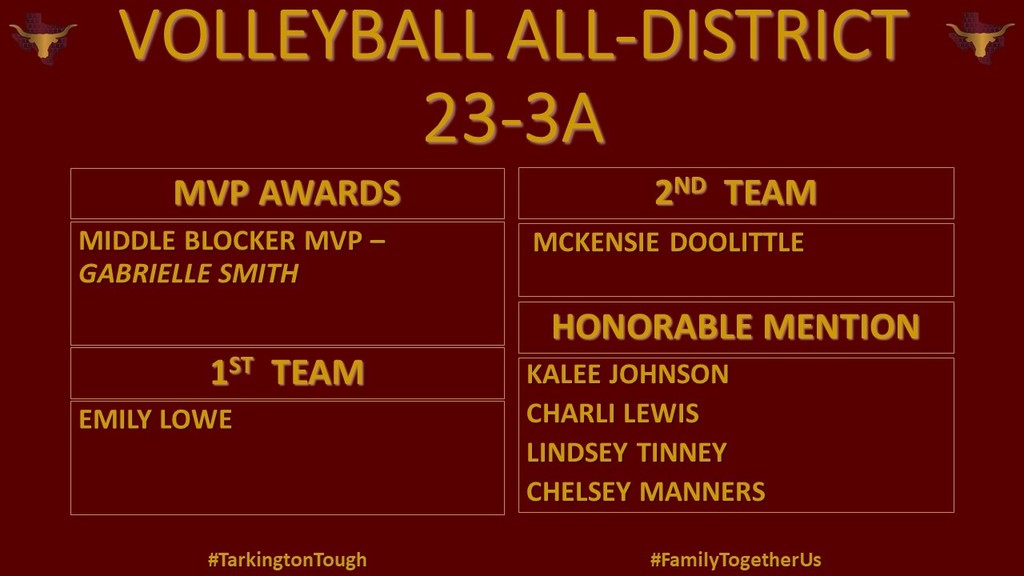 Volleyball All District 2021