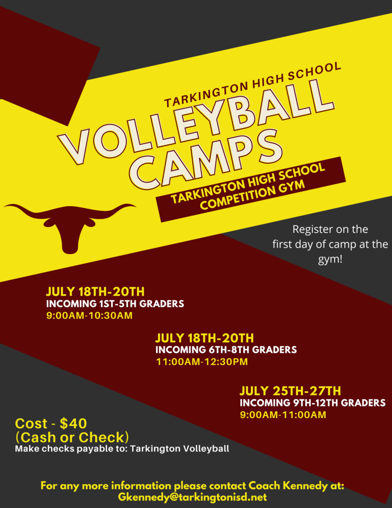 Volleyball Summer Camps flyer