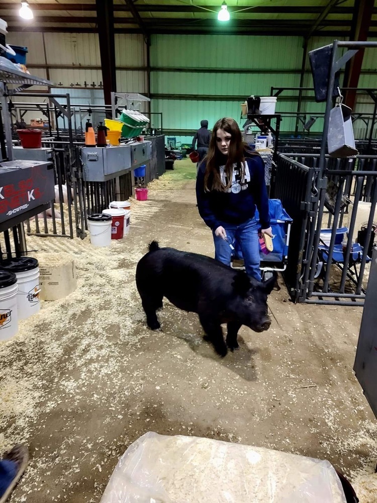 Chloe Jarvis with her Certified Texas Bred Gilt