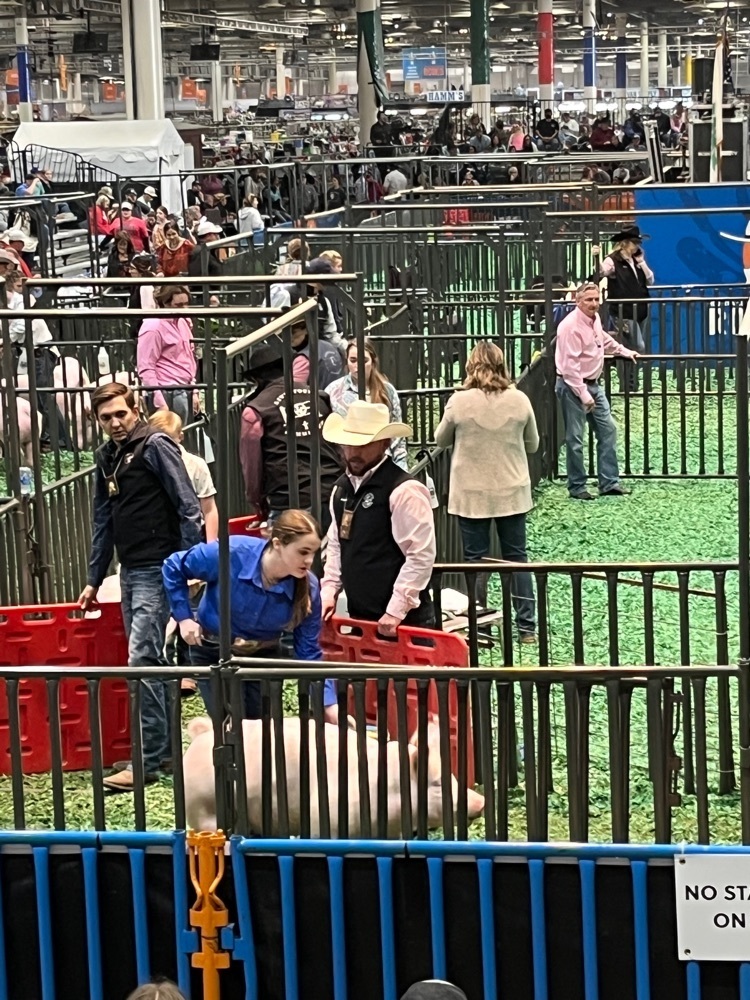 Chloe Jarvis at the Houston Livestock Show 